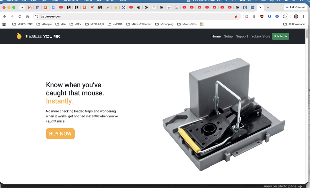 Screenshot 2026-10-21 at 13.36.14.png
